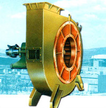 5c34301b0dfc1.jpg 22.jpg